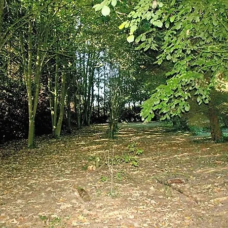 L'anctovilliere