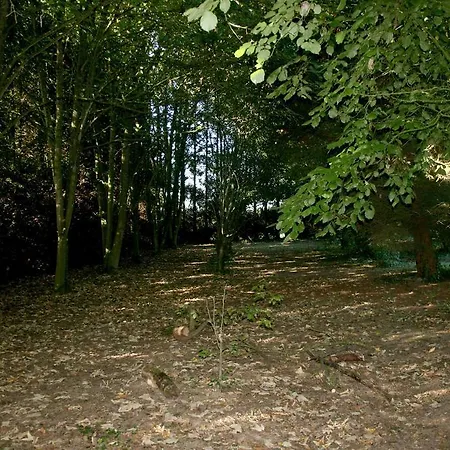 Bed and Breakfast L'anctovilliere Anctoville