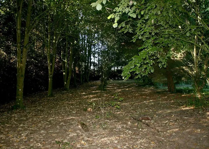 Bed and breakfast L'anctovilliere Anctoville